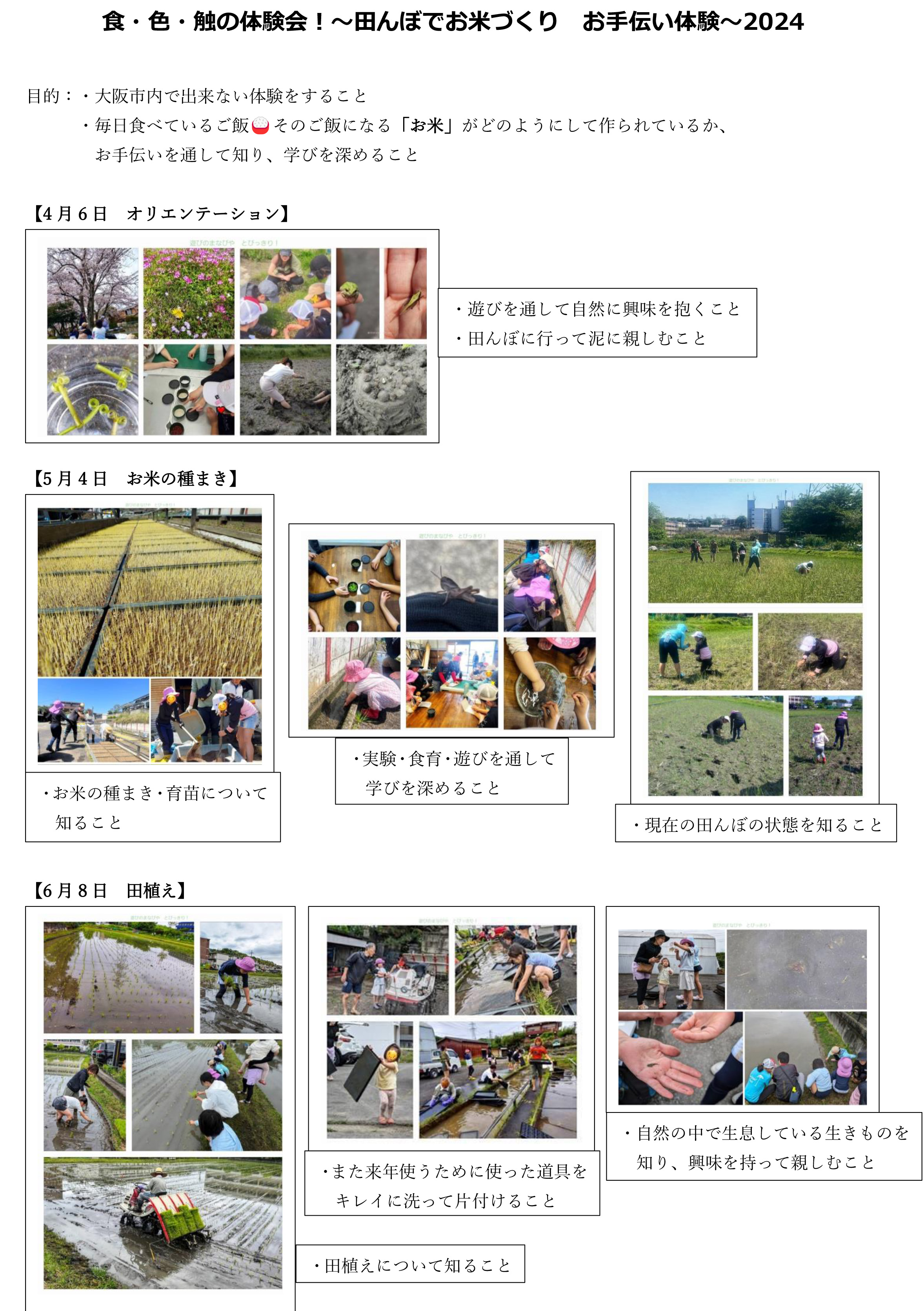 とびっきり活動報告